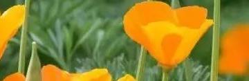 深圳外遇取证公司_取证外遇深圳公司有补贴吗_取证外遇深圳公司怎么处理
