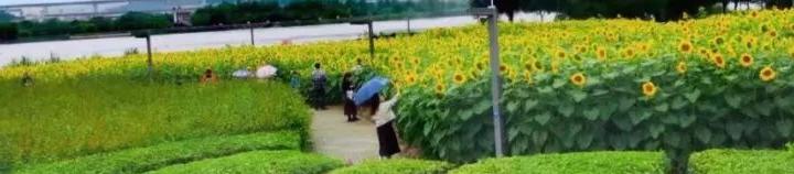 深圳外遇取证公司_取证外遇深圳公司怎么处理_取证外遇深圳公司有补贴吗