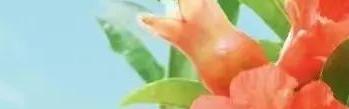 取证外遇深圳公司怎么处理_取证外遇深圳公司有补贴吗_深圳外遇取证公司